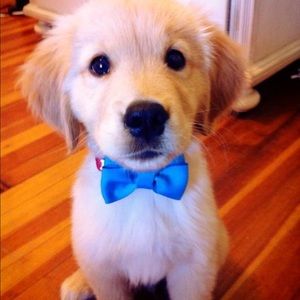 Meet your Posher, Maria e.